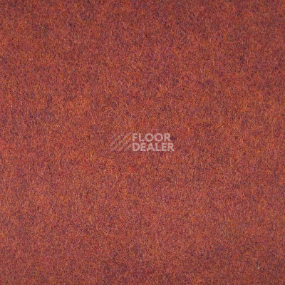 Ковролин Tapisom 600 Orange - 600 416002009 00014 фото 1 | FLOORDEALER